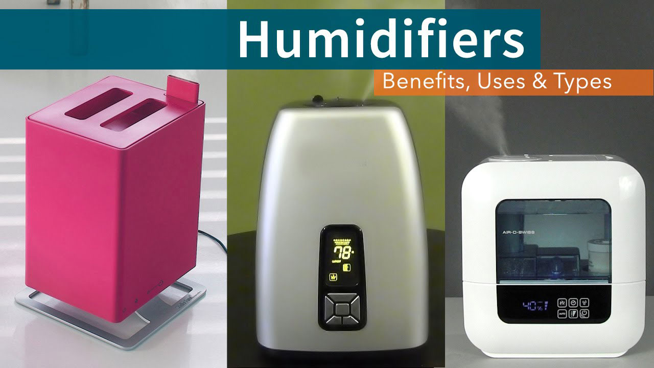 Best Humidifiers for Allergies (Pick the Best One 2021)